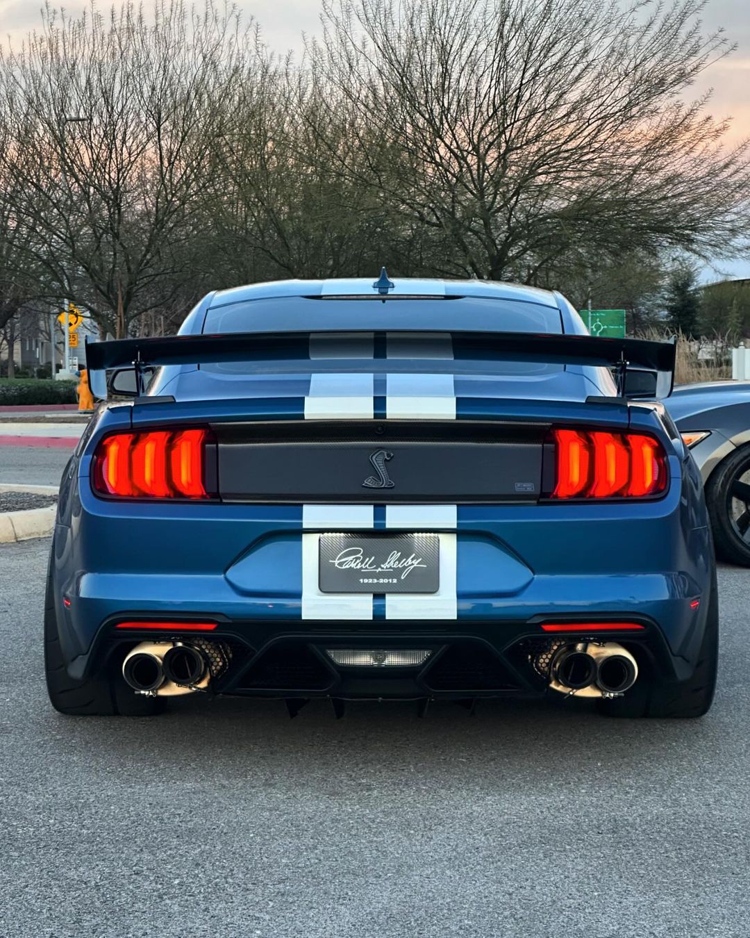 Shelby GT500