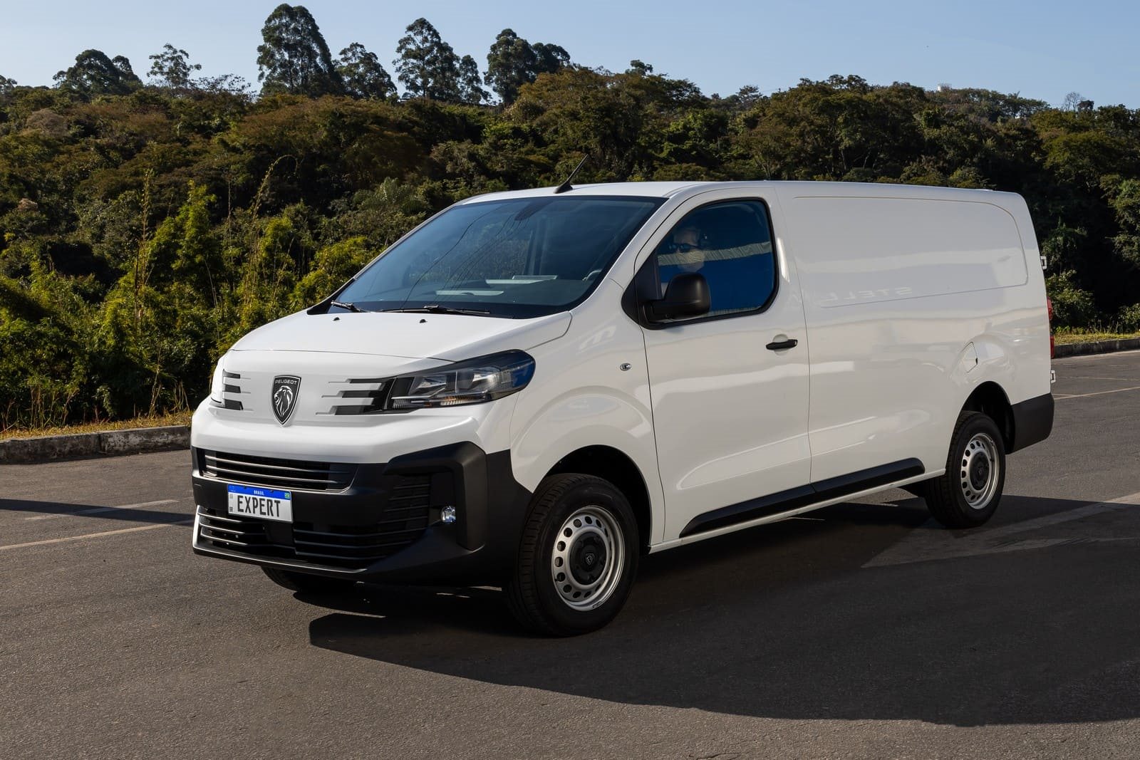 peugeot expert 2025 (2)